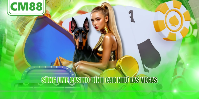 sòng live casino đỉnh cao không khác gì lasvegas